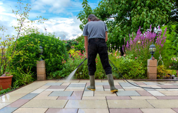 Professional Pressure Washing Services in Las Lomas, CA